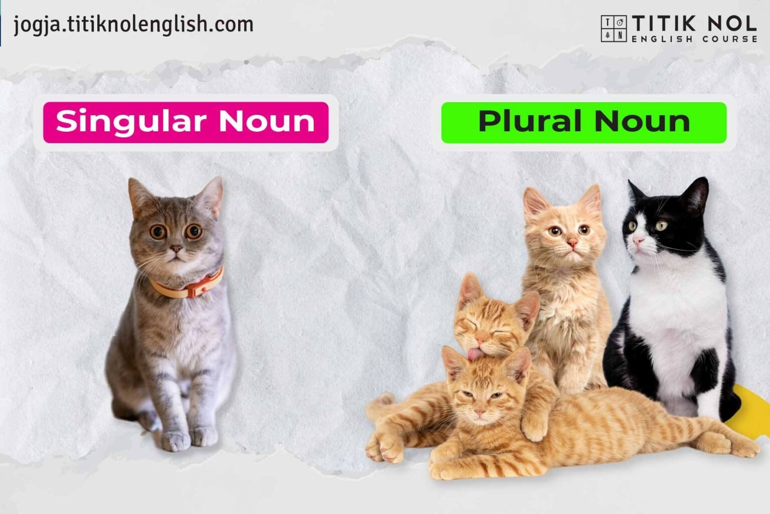 Pengertian Singular Dan Plural Jenis Dan Contoh Contoh